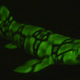 Illustration for article titled These new species of biofluorescent fish are beautifully strange